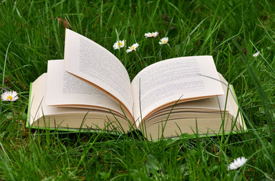 5 lesenswerte Bücher zum Thema Nachhaltigkeit!